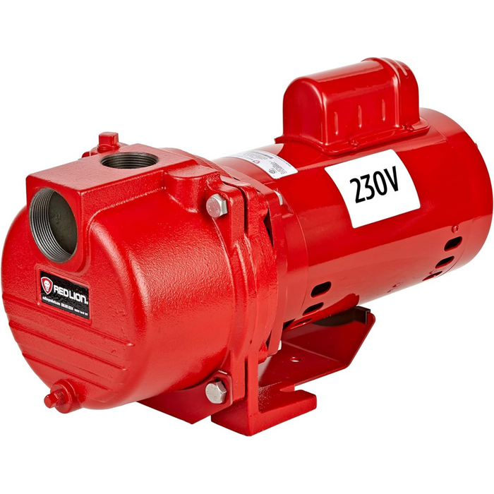 2 HP Cast Iron Sprinkler/Irrigation Pump with Brass Impeller - Red Lion