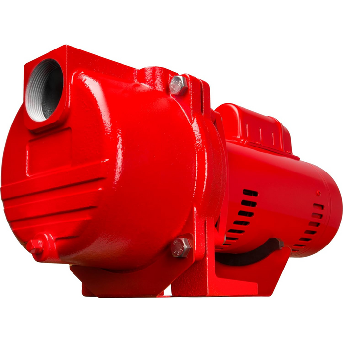 1 HP Cast Iron Sprinkler/Irrigation Pump - Red Lion