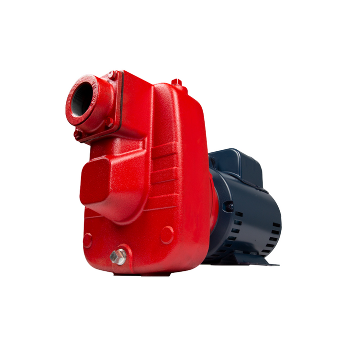 3 HP Cast Iron Sprinkler/Irrigation Pump - Red Lion