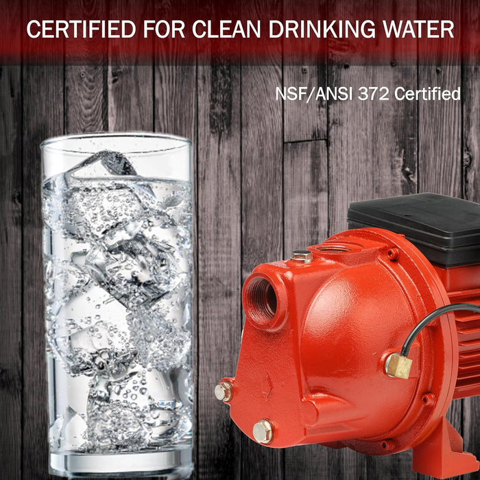 1 HP Shallow Well Jet Pump 17 GPM – Red Lion